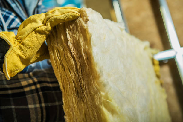 Best Insulation Repair Services  in Sewanee, TN